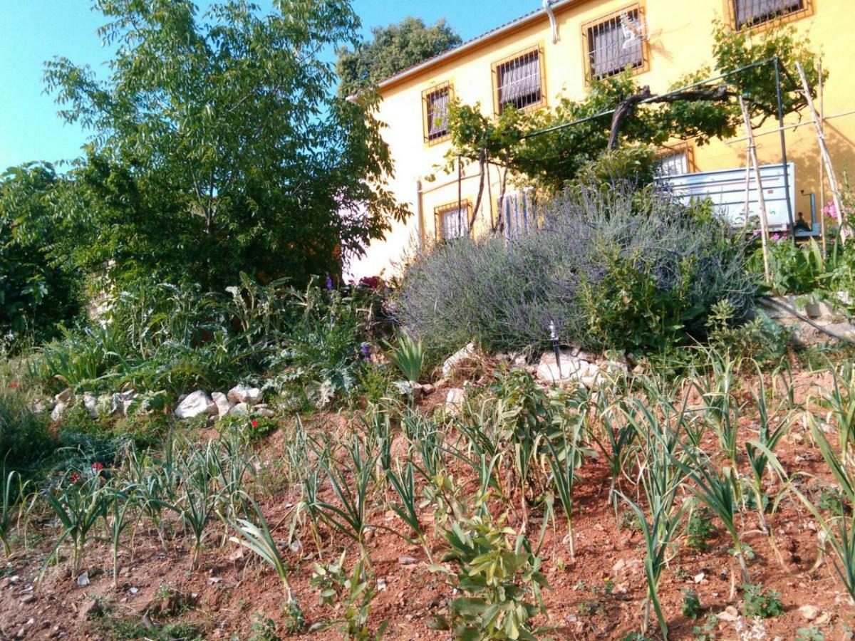 Cortijo De La Cruz Βίλα Iznájar Εξωτερικό φωτογραφία